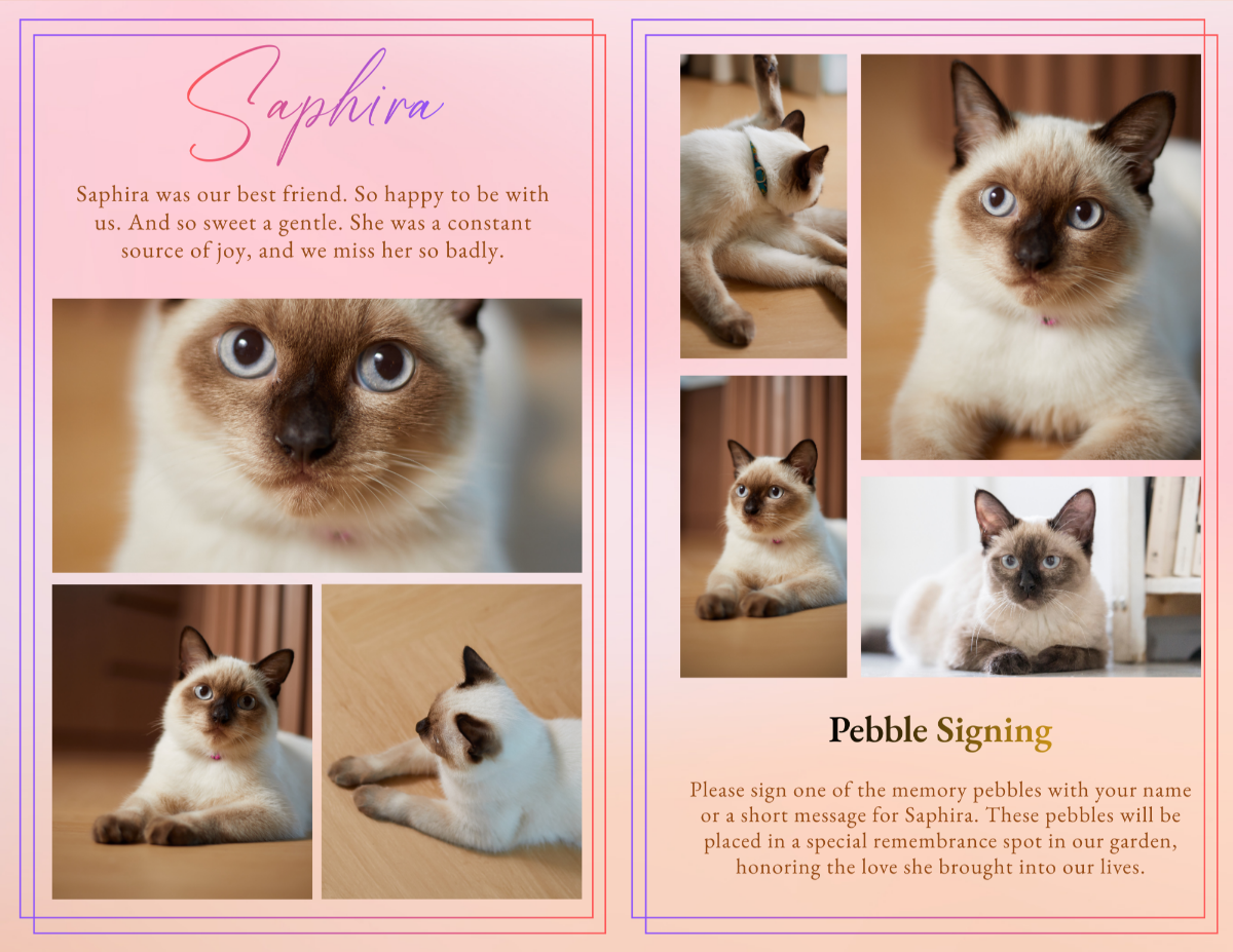 Photo collage and pebble signing page featuring multiple images of the Siamese cat and a dedicated section inviting guests to sign memory pebbles in remembrance.