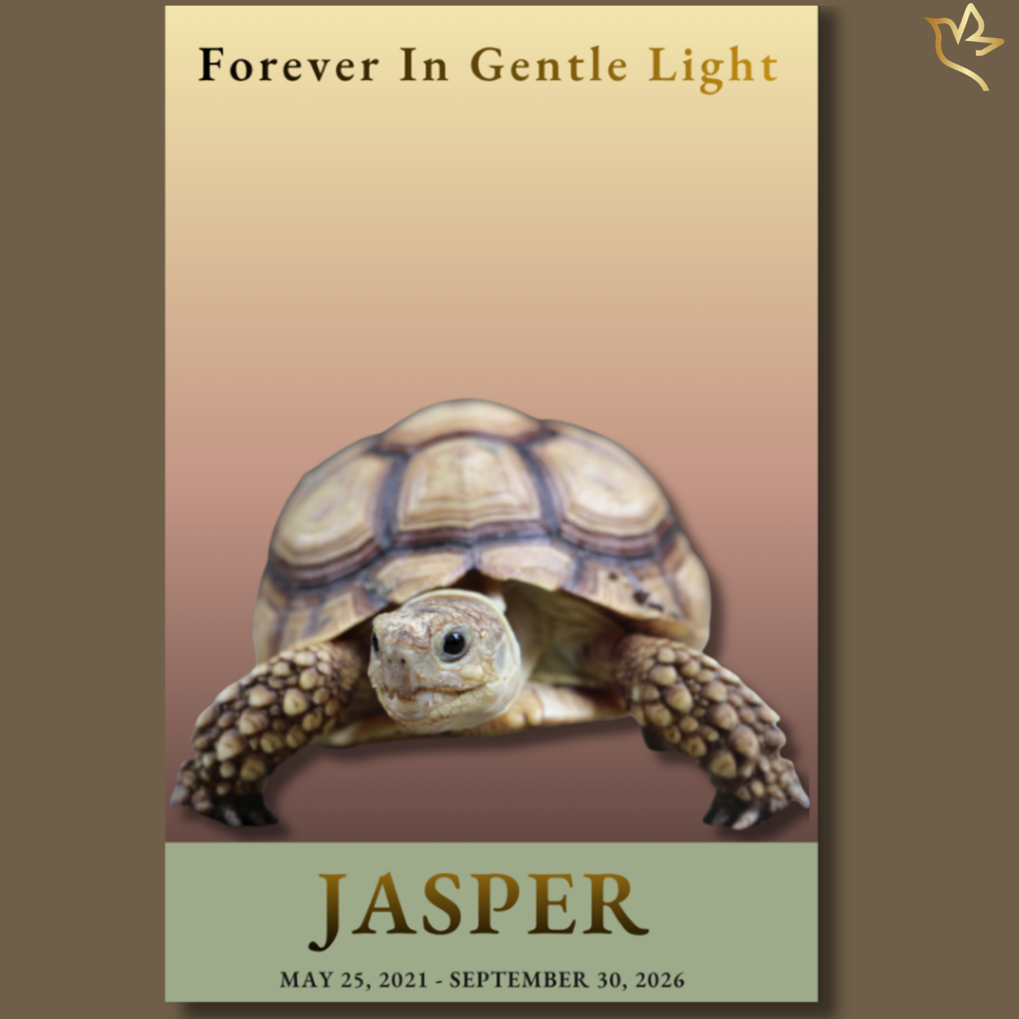 Forever in Gentle Light pet reptile funeral program cover featuring a soft-toned portrait of a tortoise against a warm neutral gradient background, with elegant serif typography and calm, earthy green accents.