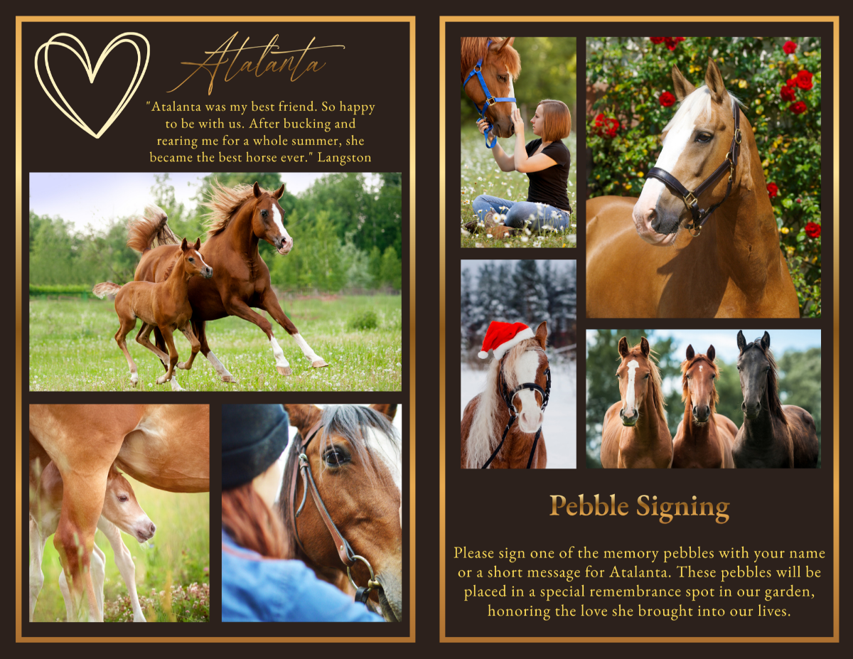 Photo collage and tribute pages preserving cherished riding memories, family connections, special adventures, and the enduring legacy of a beloved horse.