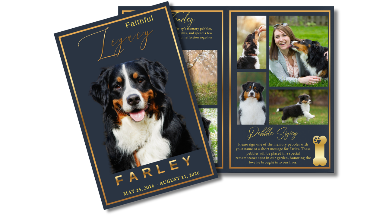 Pet memorial program featuring navy-blue backgrounds, gold typography, dog photographs, and coordinated remembrance pages honoring a beloved companion.
