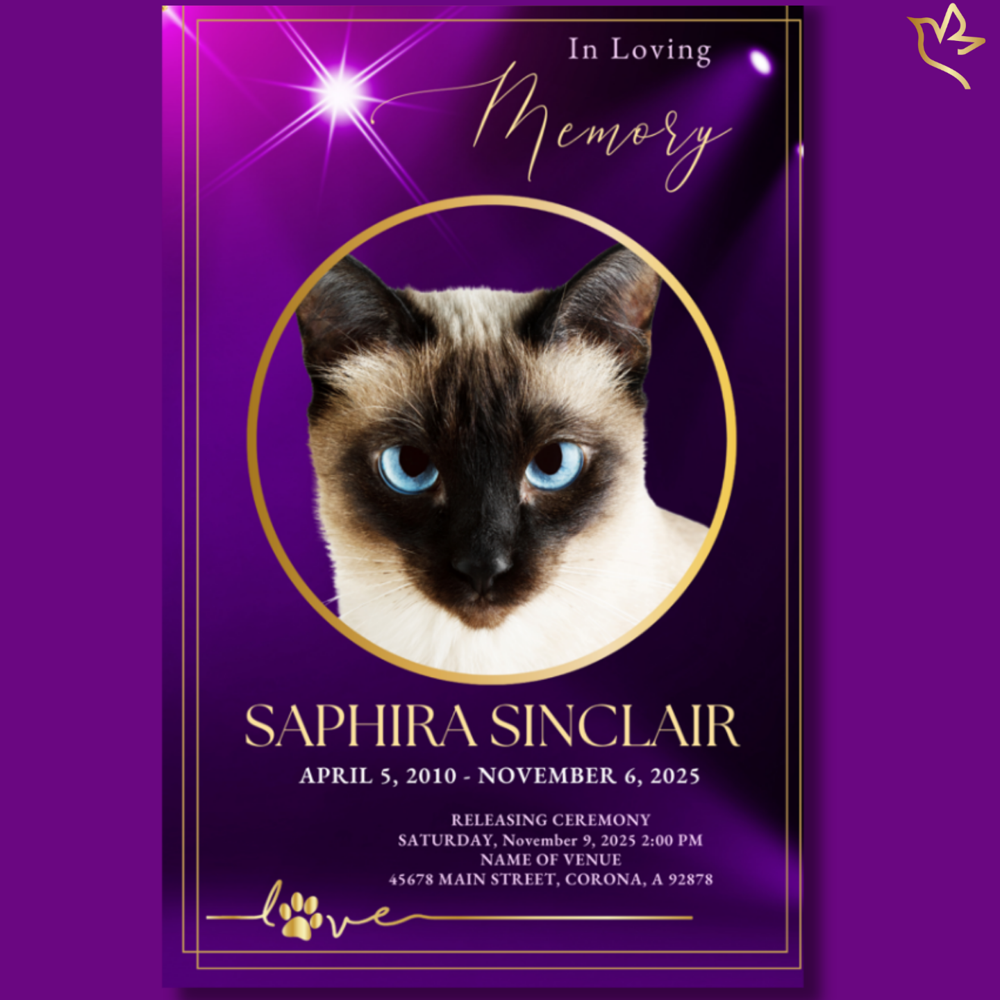 Purrrfect Purple Pet Funeral Program Front Cover — Memorial cat template featuring rich purple lighting, gold frame accents, glowing star effects, and a centered portrait in a circular gold frame. Elegant “In Loving Memory” heading with paw-print heart detail at the bottom.