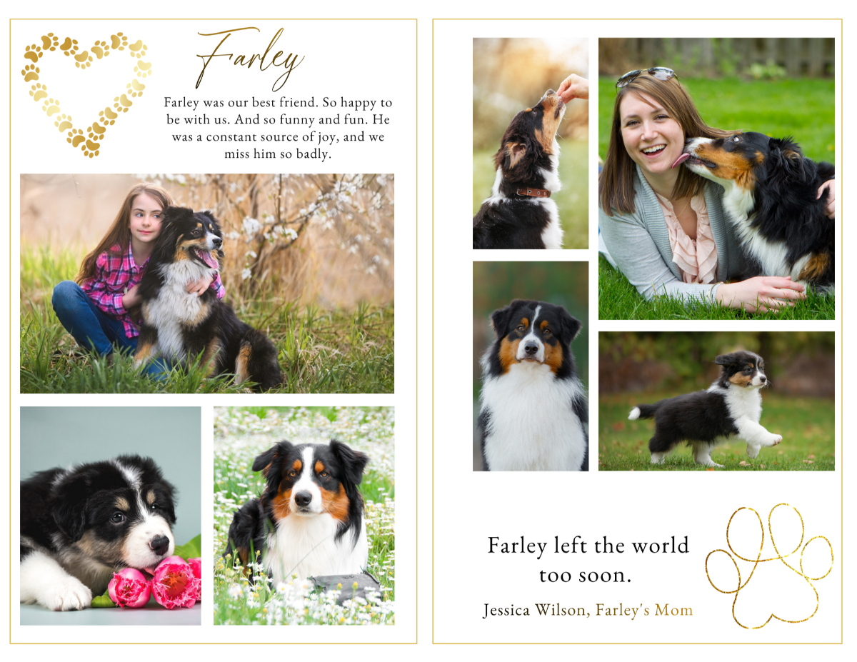 Photo collage pages displaying special moments and companionship memories in a clean, organized layout that highlights a life filled with love.