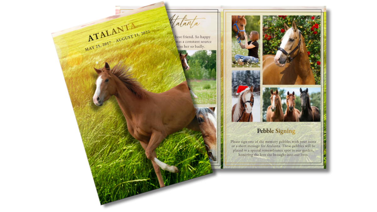Front cover displayed beside open interior pages showing the warm meadow theme with coordinated layouts for photo collages, tributes, and remembrance sections honoring a beloved horse.