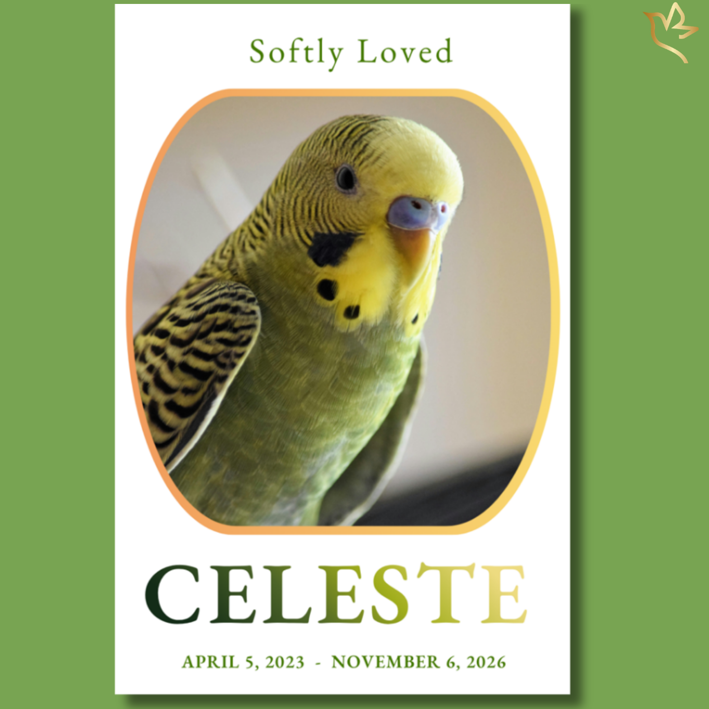 Pet bird funeral program cover featuring a soft neutral background, green and gold typography, rounded portrait frame with a small parakeet, and gentle minimal accents for a peaceful memorial design.