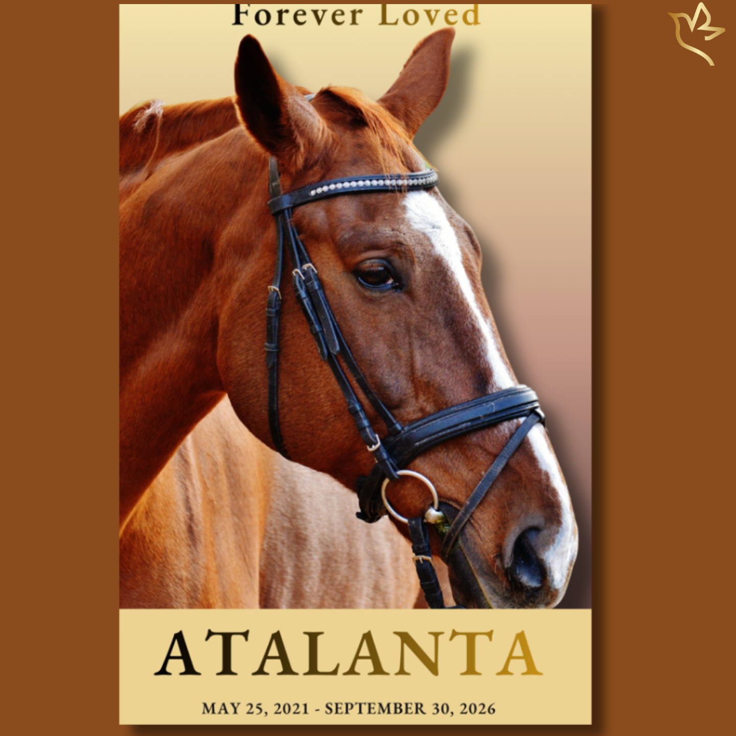 Forever Loved horse memorial program cover featuring a chestnut horse portrait against a soft golden background with elegant memorial typography honoring a beloved horse.