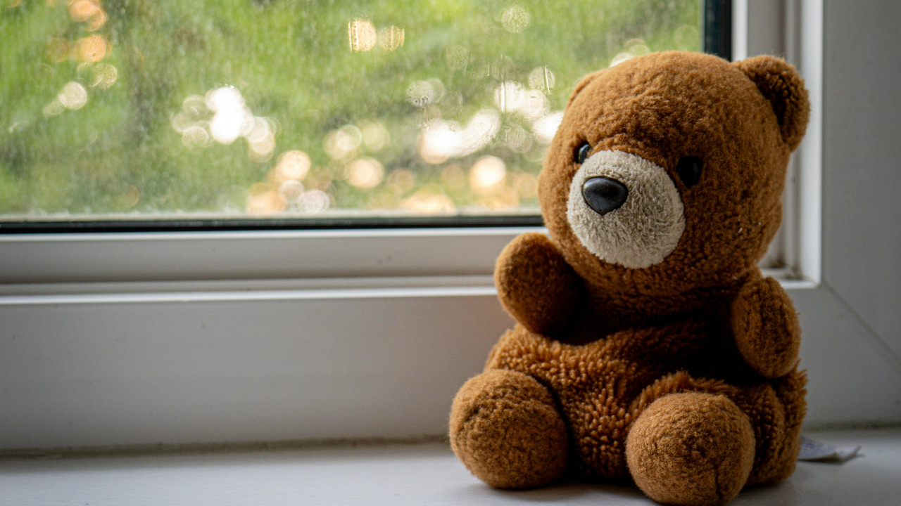 A small teddy bear resting on a windowsill, symbolizing cherished memories and the comforting keepsakes families hold onto after the loss of a loved one.