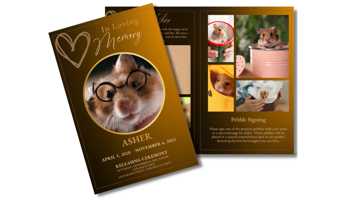 Front cover and open interior photo collage pages with cover featuring circular portrait of a hamster with aa lovely amber background.