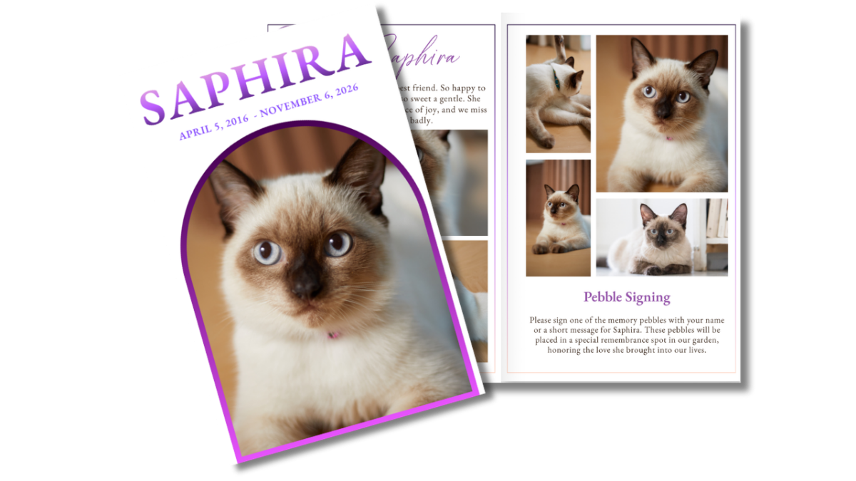 Front cover featuring a close-up portrait of a Siamese cat within a soft lavender arch, alongside an open interior layout showing coordinated pages for memories, poem, and ceremony details.