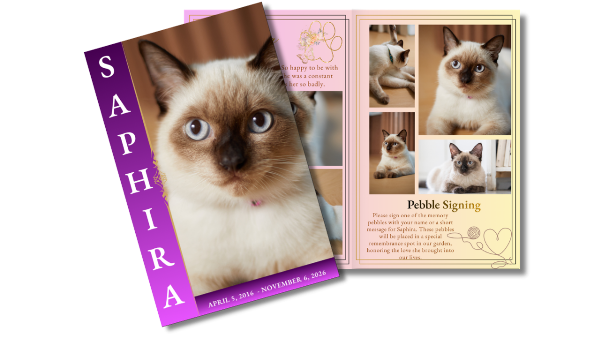 Pet cat funeral program front cover with Siamese cat portrait alongside open interior pages showing structured photo collage layouts.