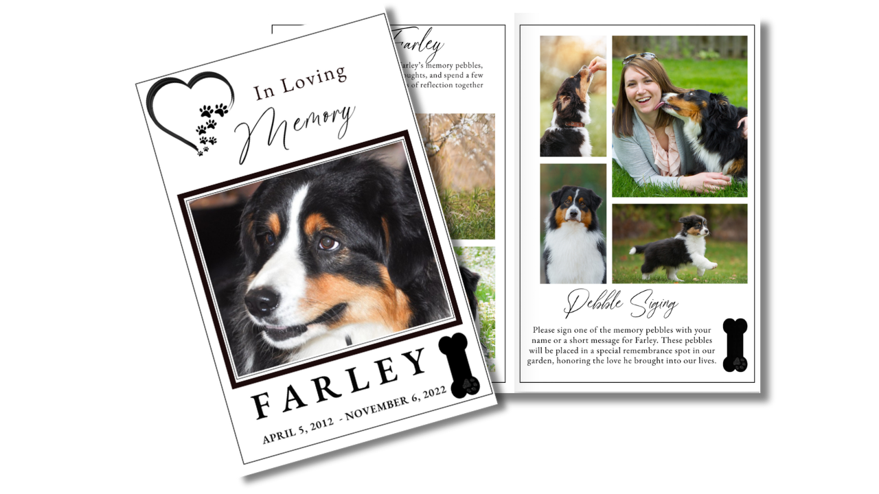 Simply Faithful dog funeral program template preview featuring the memorial cover design displayed alongside coordinated interior pages for pet photographs, tributes, memorial poems, celebration of life details, and cherished memories.