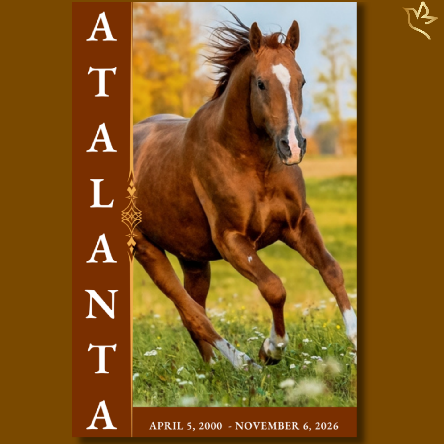 Pet horse funeral program cover featuring a chestnut horse running through a golden field, with warm autumn tones, soft sunlight, and elegant vertical name typography.