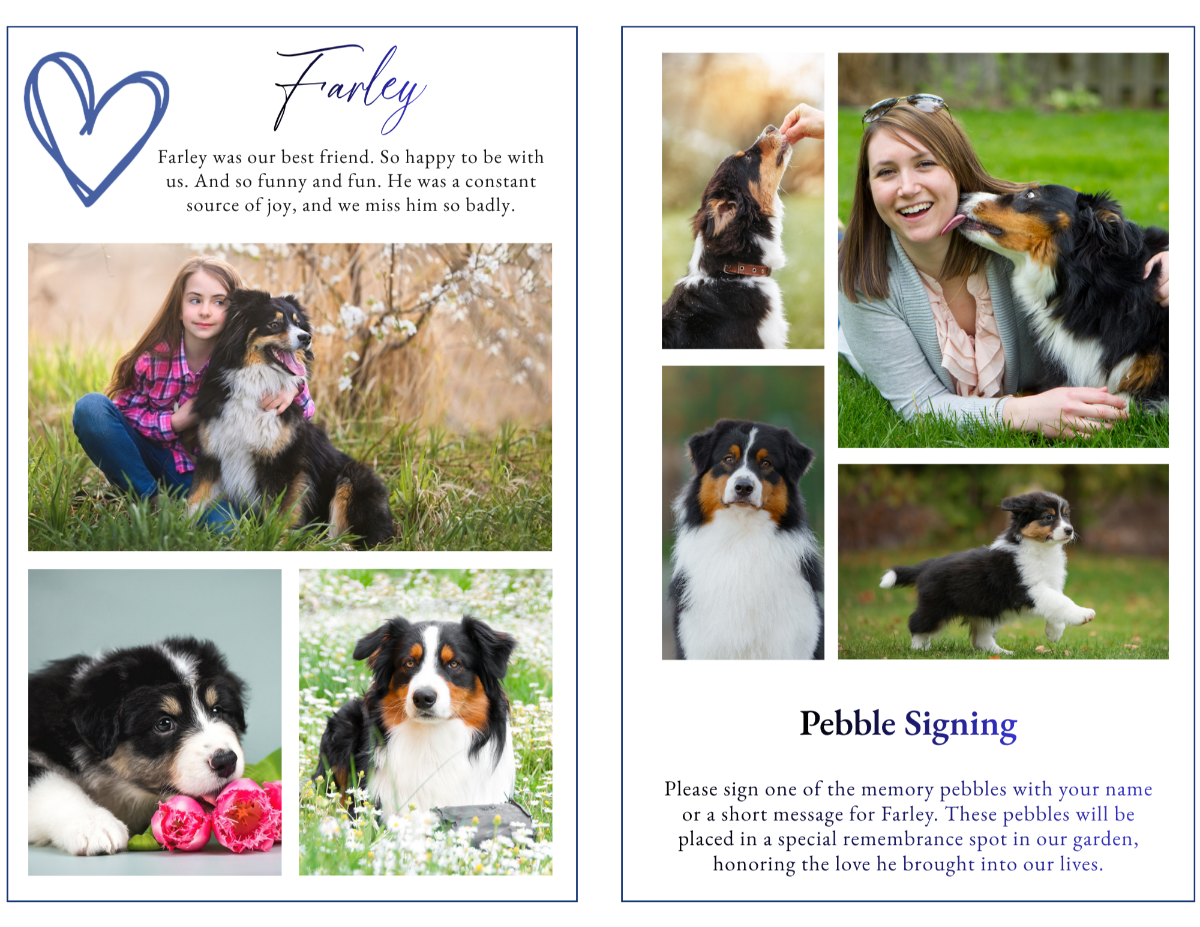 Photo collage layout showcasing meaningful pet moments arranged in a clean layout with soft borders and a bright, comforting aesthetic.