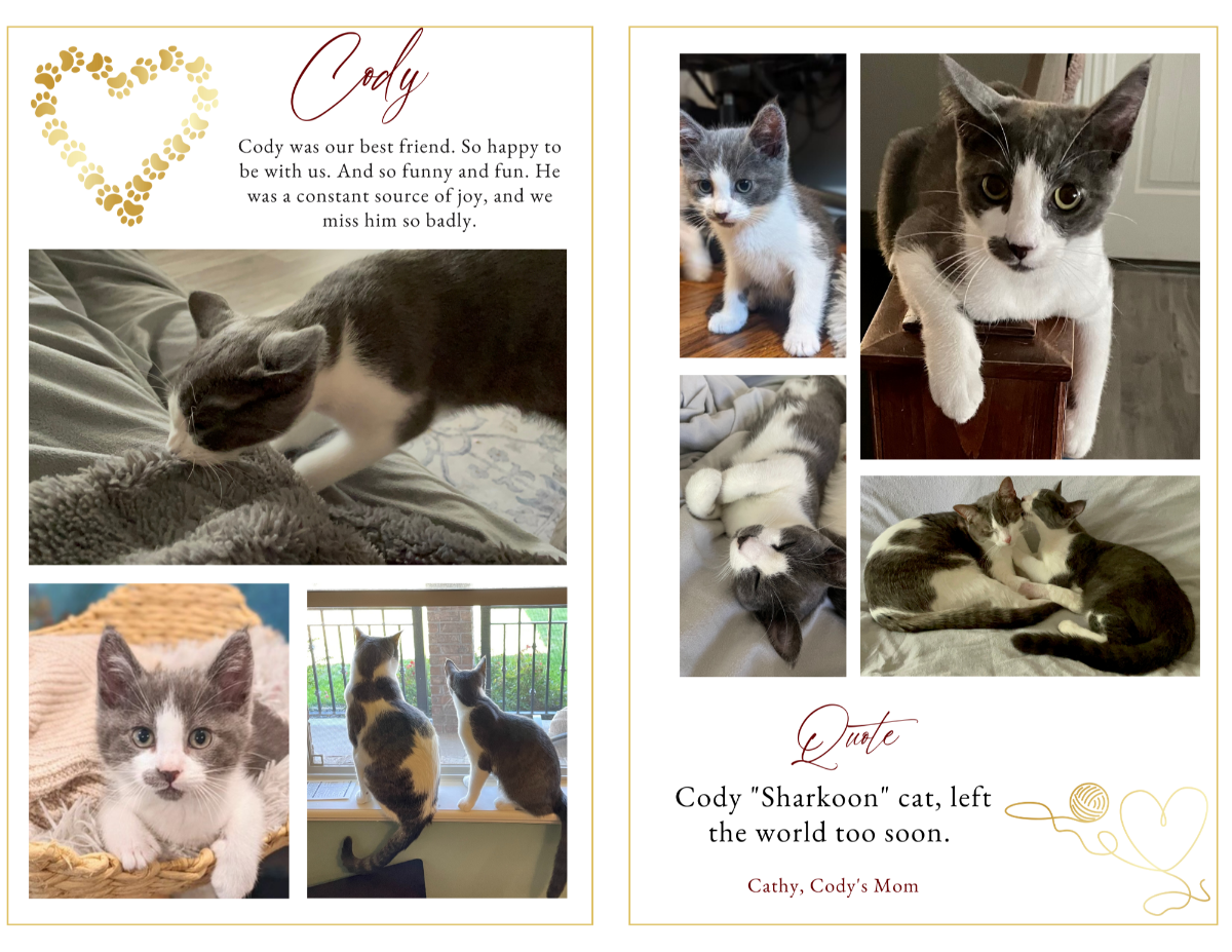 Photo collage page with space for a heartfelt poem or meaningful quote, highlighted with gold paw-print flourishes.