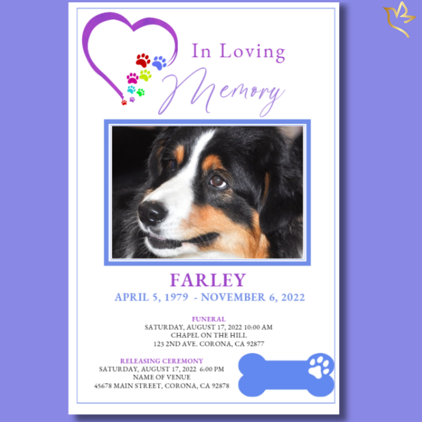 Front cover of Rainbow Bridge Dog Funeral Program Template featuring photo of Bernese Mountain Dog with heart and rainbow paw-print design.