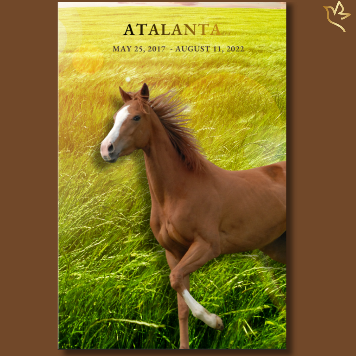 Where Trail Meets the Sky horse memorial program cover featuring a chestnut horse running through sunlit golden grass, warm meadow tones, and elegant serif lettering honoring a beloved companion.