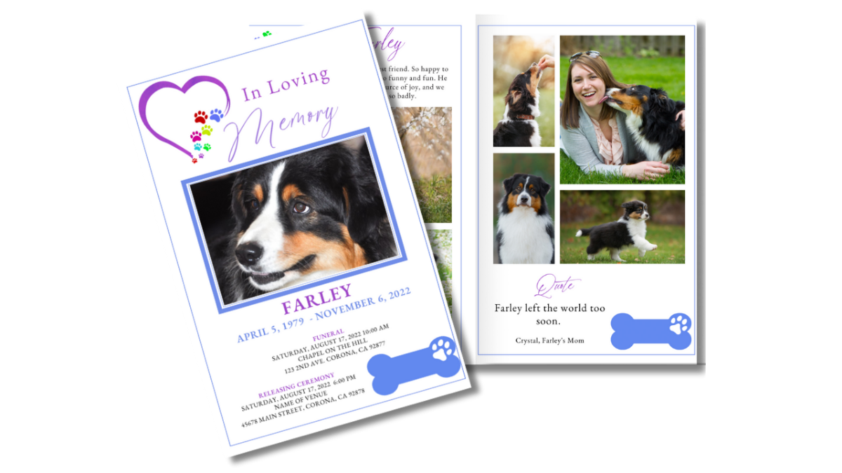 Program spread showing front cover and open interior photo collage page with colorful paw prints and purple script text.