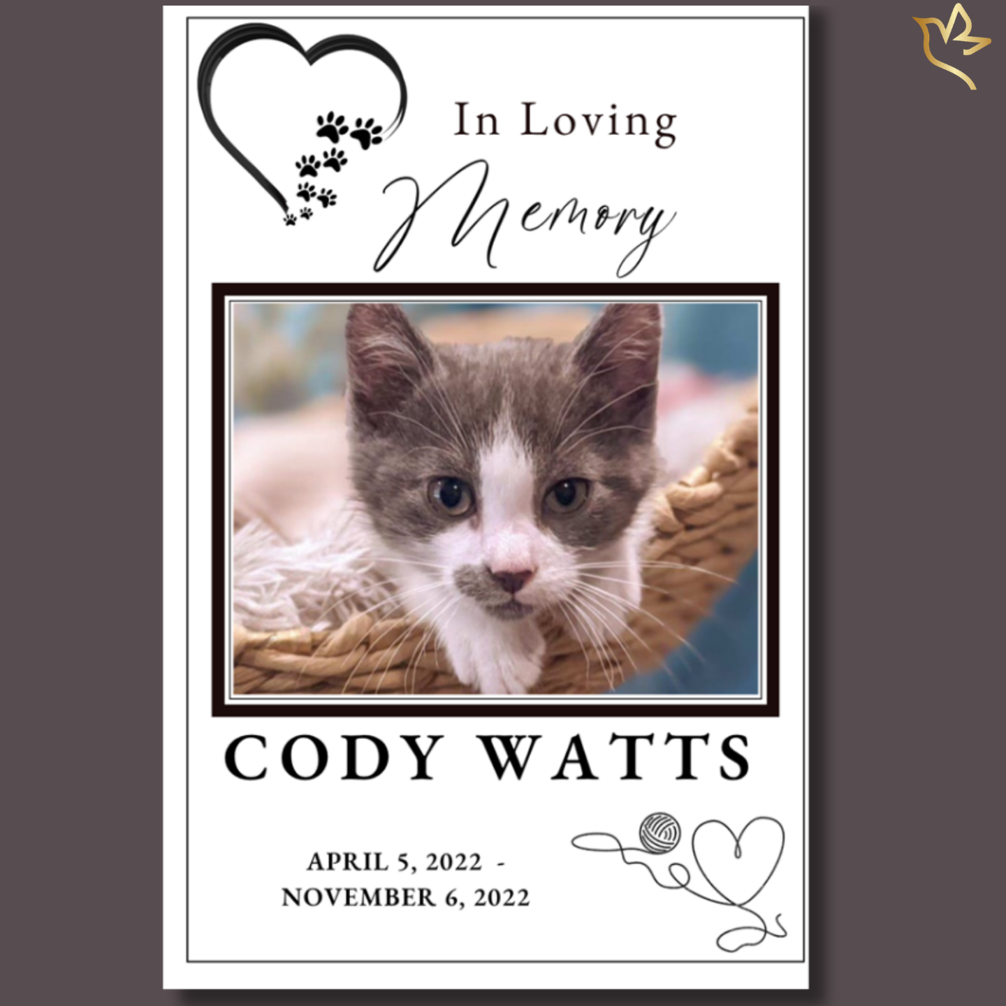 Simply Cherished cat funeral program template featuring a clean black-and-white design, elegant cat memorial artwork, framed kitten portrait layout, paw print accents, and heartfelt memorial styling for honoring the life of a beloved cat and cherished companion.