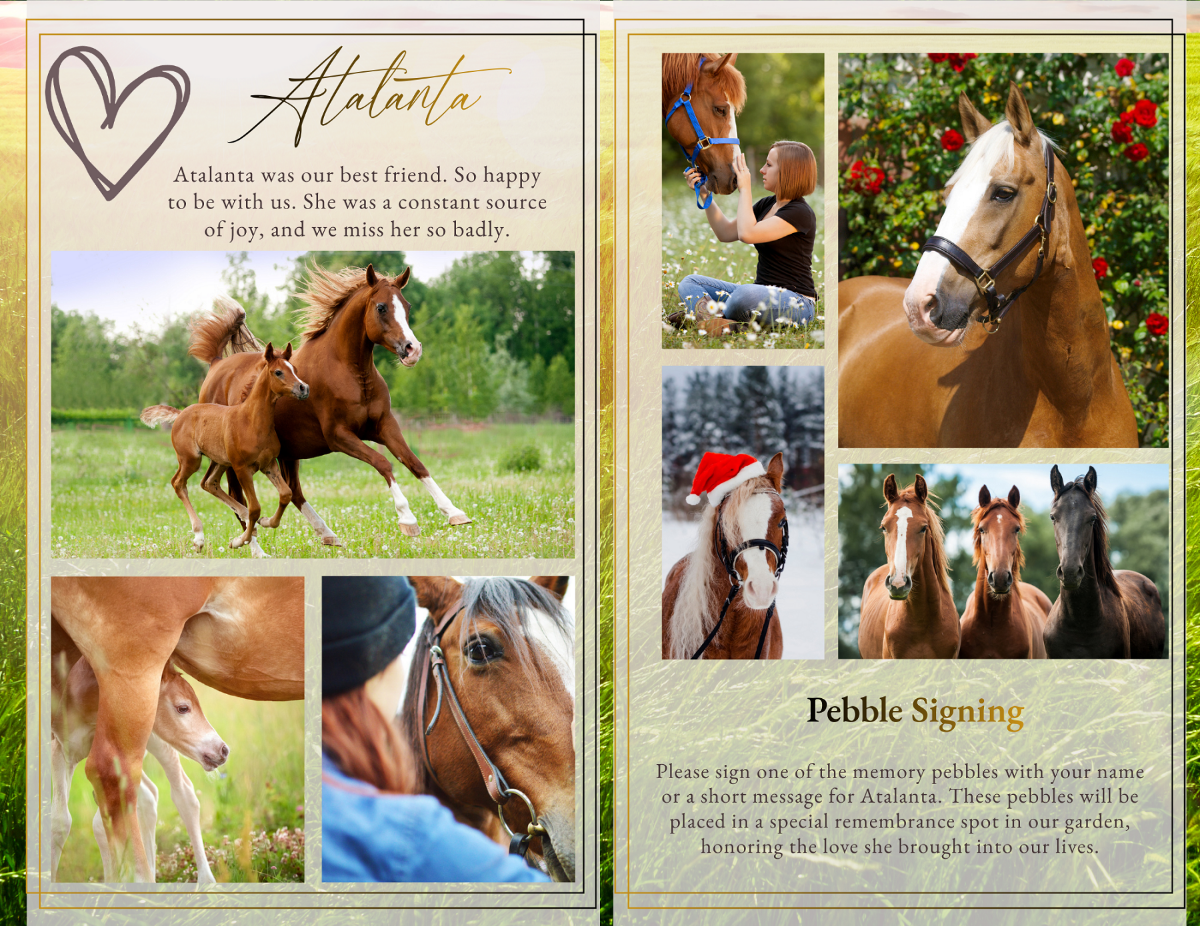 Photo collage tribute spread displaying images of the horse in nature, with family, and among other horses arranged in a warm countryside themed layout.