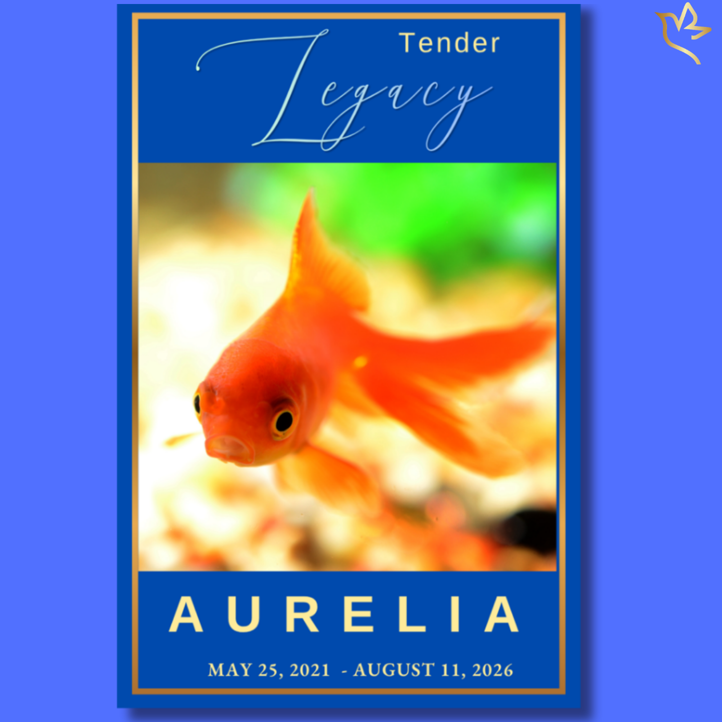 Beautiful fish memorial program featuring a vibrant goldfish on a rich blue background with elegant gold accents, thoughtfully designed to honor the memory of a beloved aquatic companion.