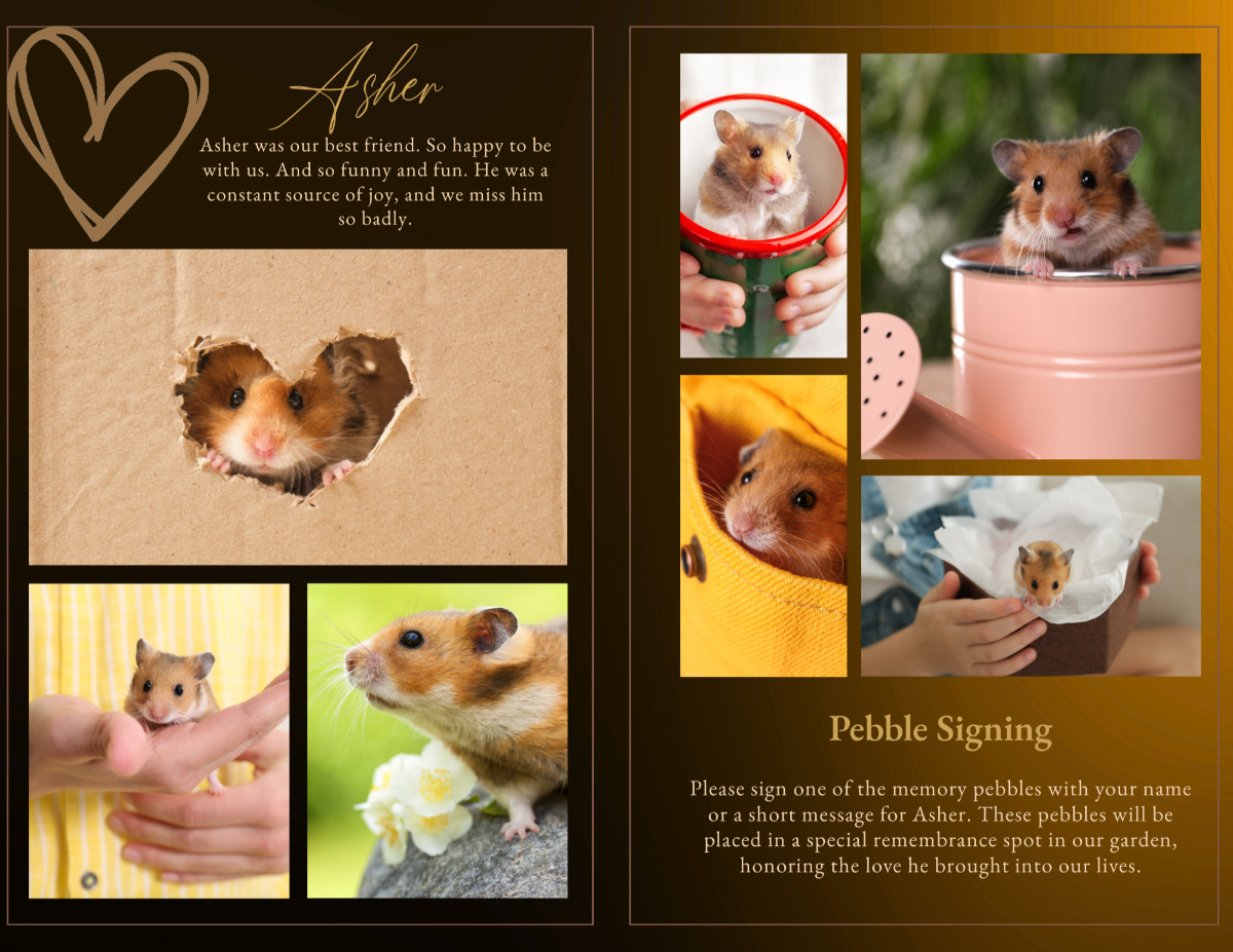Golden Amber funeral program interior spread featuring heartfelt tribute text, warm brown background, heart sketch, and a multi-photo collage of a hamster in various cute poses and settings.