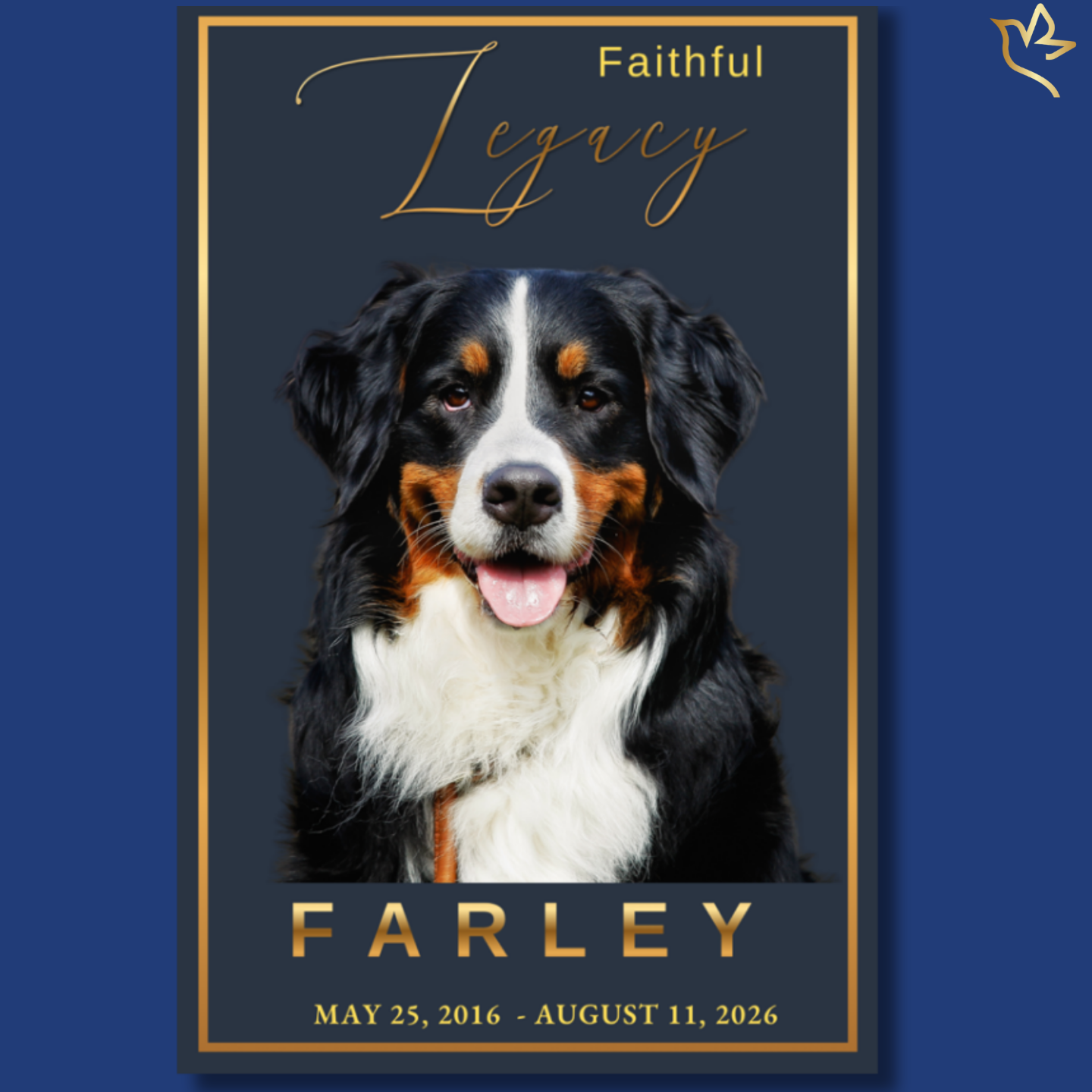 Elegant pet memorial program featuring a beloved dog on a deep grey background with warm gold accents, creating a timeless keepsake to honor a faithful companion and cherished family member.