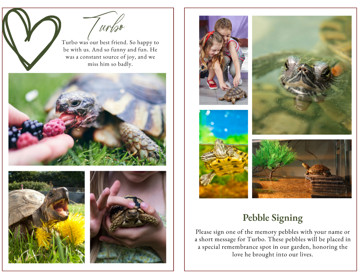 Celebration of life program photo collage for reptiles and amphibians with minimalist olive-green heart artwork.