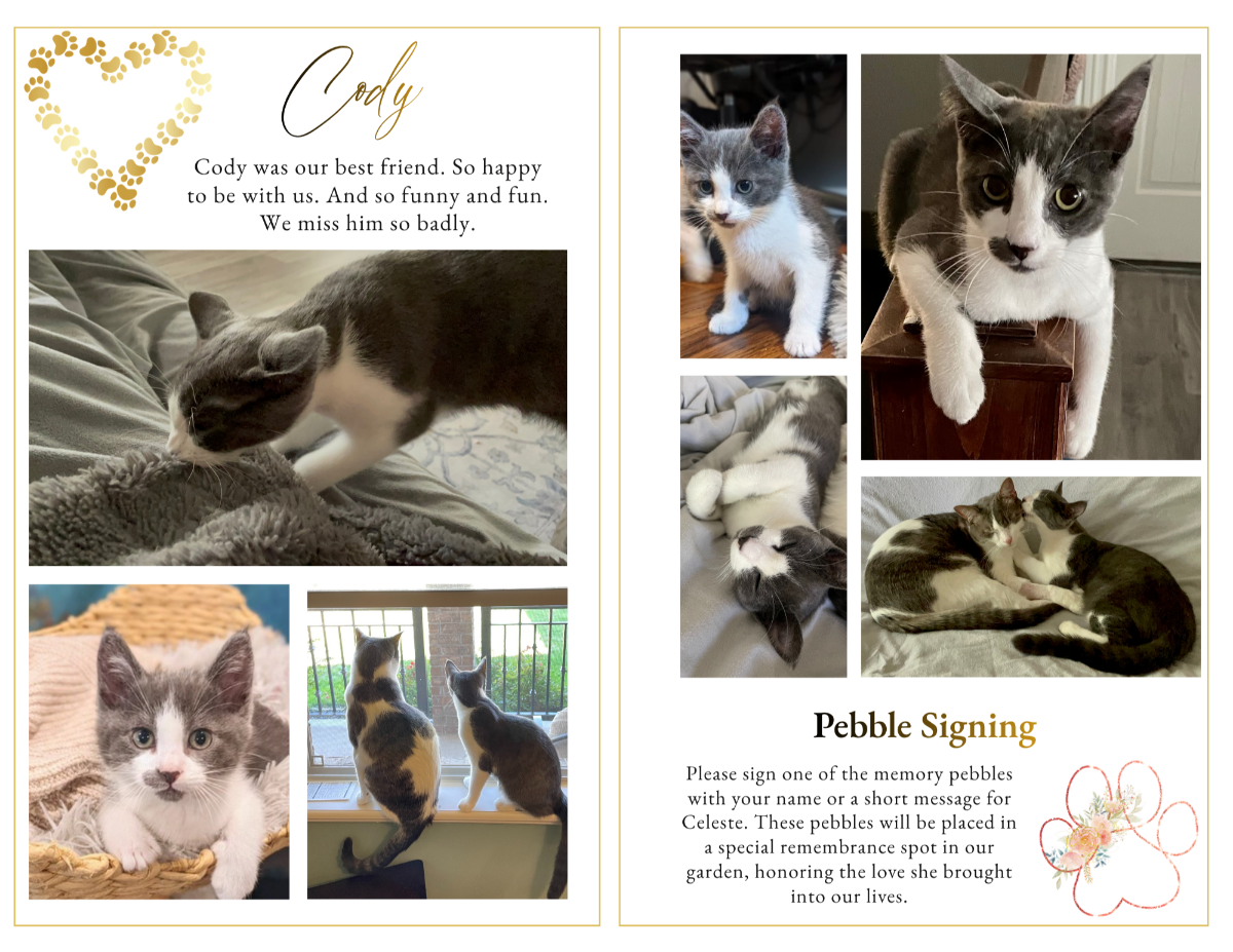 Photo collage pages displaying cherished moments and companionship memories in a clean, organized layout that highlights a life filled with love.
