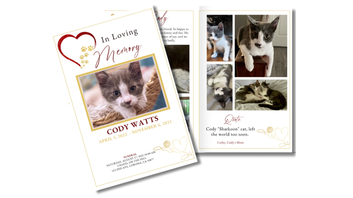Front cover and interior photo collage layout showing warm gold typography and minimalist design.