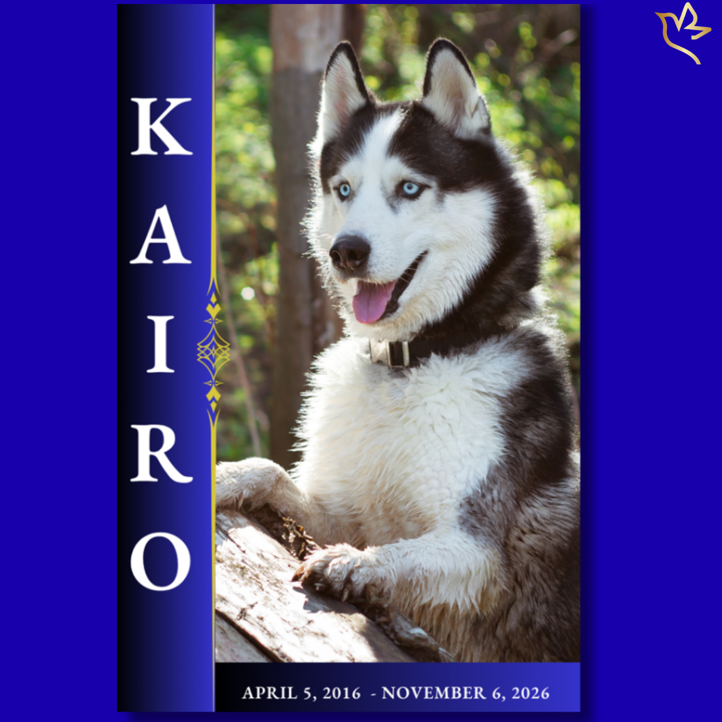 Pet dog memorial funeral program cover featuring a husky portrait with deep blue background, gold accents, vertical name layout, and elegant typography in a refined design.