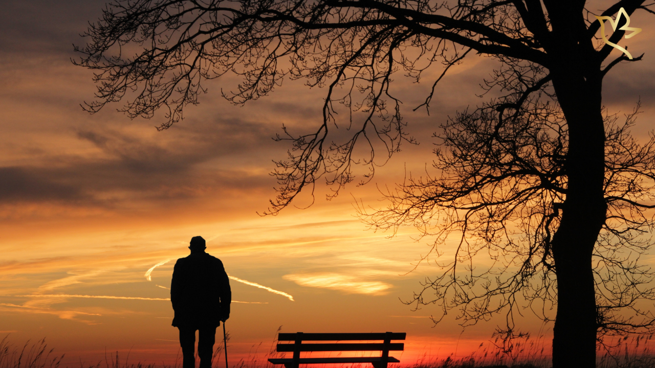 A solitary figure stands beside an empty bench beneath a large tree at sunset, reflecting on love, remembrance, and the quiet journey of healing.