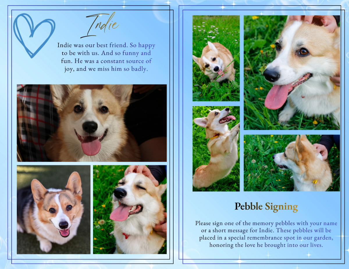 Photo collage spread featuring multiple joyful images of a corgi playing in green grass, smiling up at the camera, being gently petted, and looking content, arranged on a soft sky-blue background with subtle star accents.