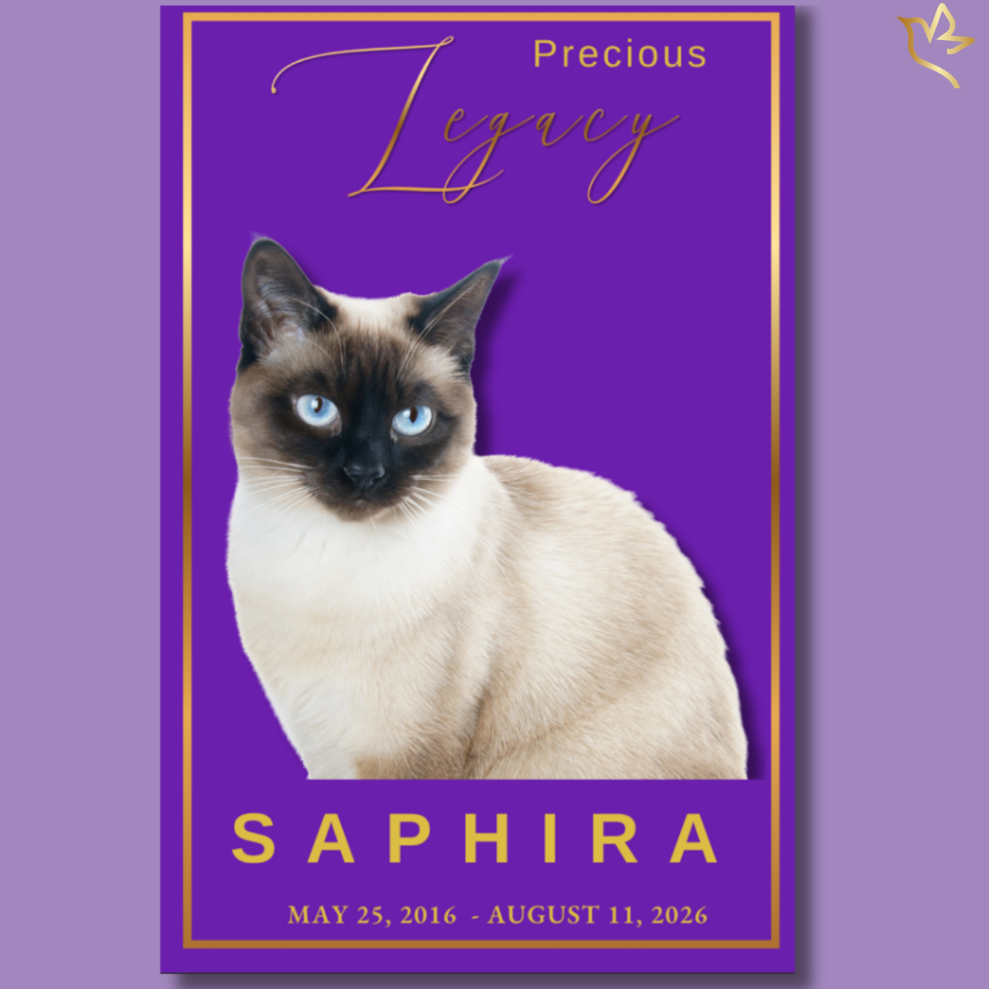 Elegant pet memorial program featuring a beloved cat on a vibrant violet background with gold accents, creating a beautiful keepsake to celebrate a cherished feline companion and treasured family member.