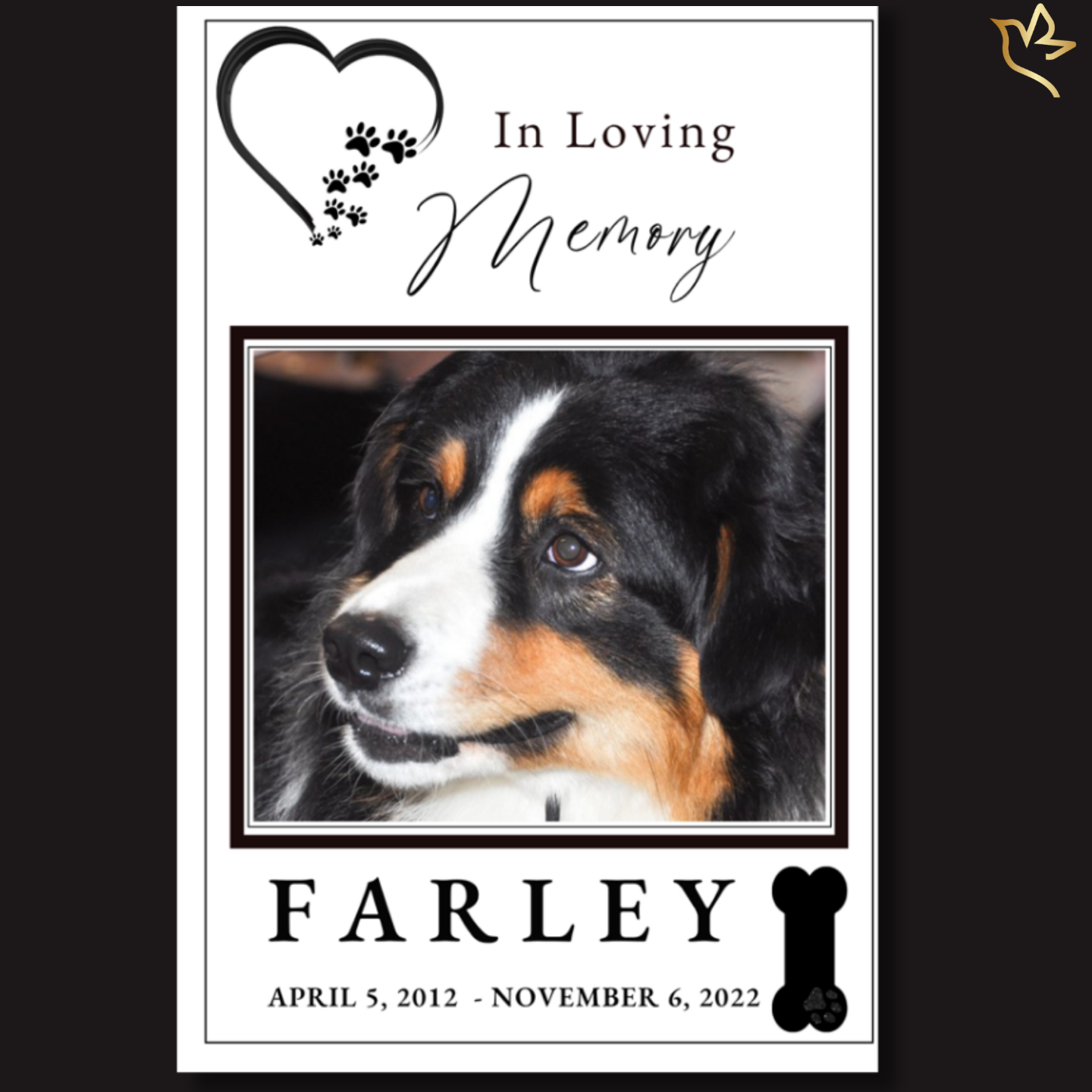 Simply Faithful dog funeral program template featuring a clean black-and-white design, paw print accents, framed pet portrait layout, and heartfelt memorial styling for honoring the life of a beloved dog, faithful companion, and cherished family friend.