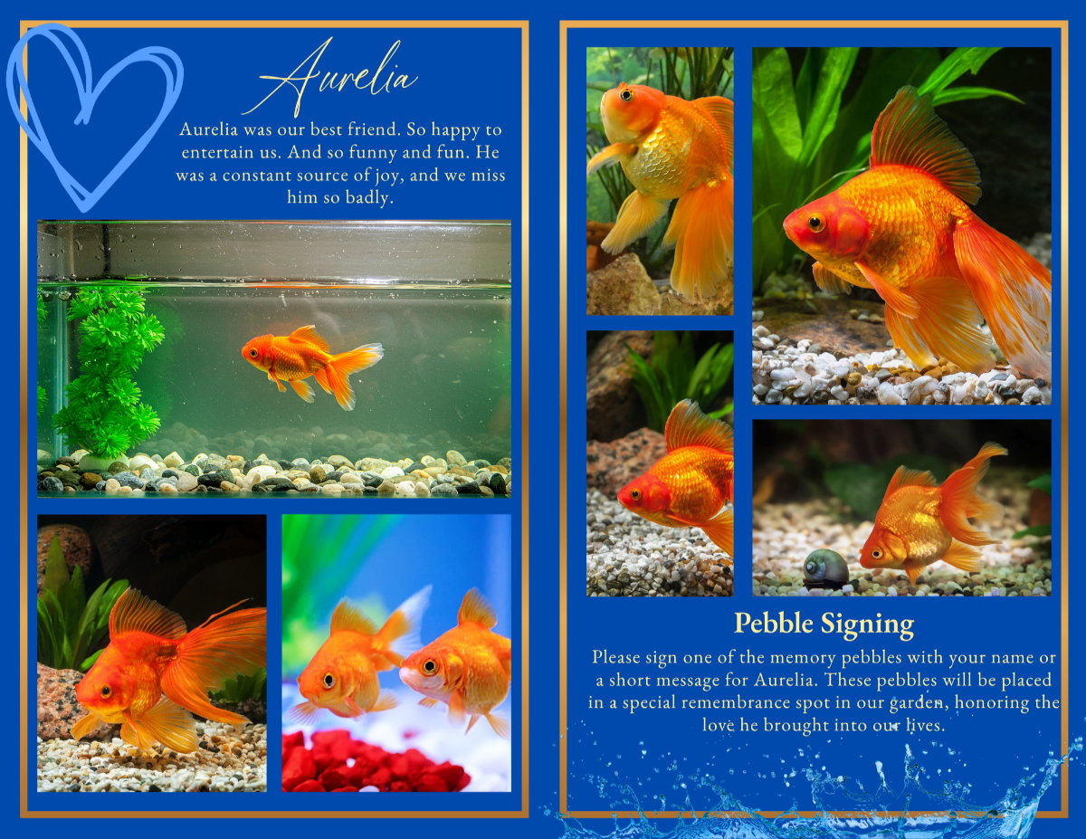Photo collage pages with aquatic-themed photographs, family reflections, and treasured moments honoring a cherished fish companion.