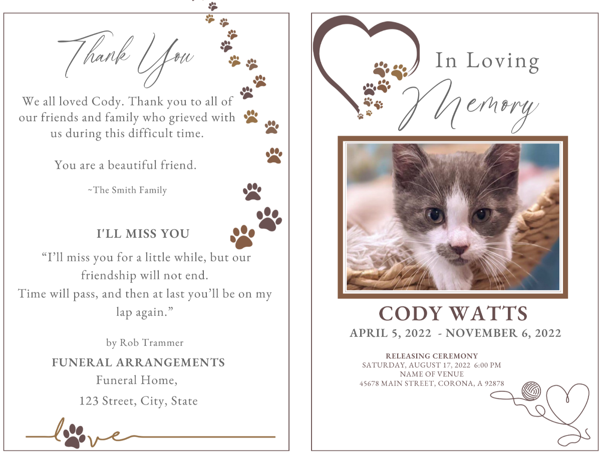 Cat memorial program template featuring a gray and white cat photo with paw print heart design and thank-you message page. Editable Canva pet funeral template honoring a beloved feline companion with warmth, love, and remembrance.