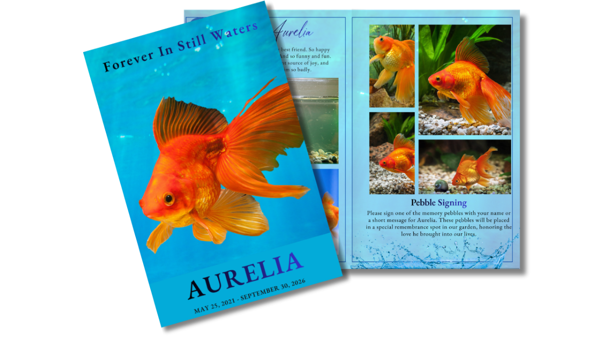 Front cover design featuring a bright orange goldfish against a soft blue water background with gentle light reflections, paired with elegant serif typography and the title “Forever in Still Waters.”