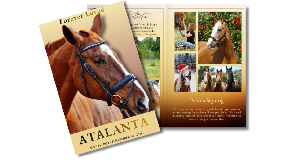 Front cover displayed beside open interior pages showing equestrian memorial layout with warm golden tones, horse photographs, tribute sections, and remembrance pages.
