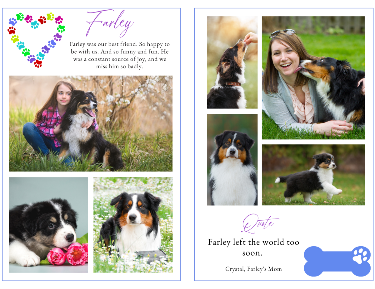 Photo collage pages from Rainbow Bridge Dog memorial program showing dog’s life moments and family love.