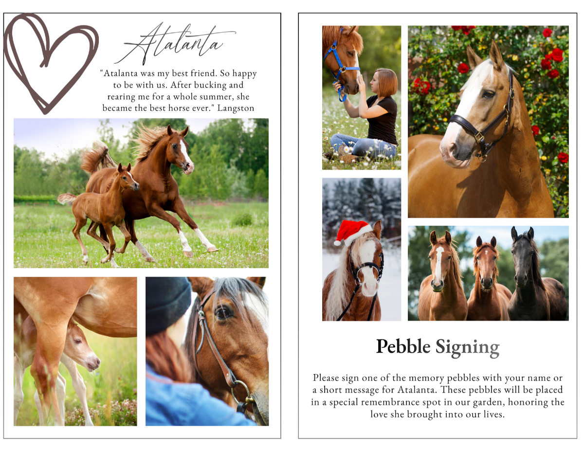 Photo collage layout showcasing meaningful pet moments arranged in a clean layout with soft borders and a bright, comforting aesthetic.