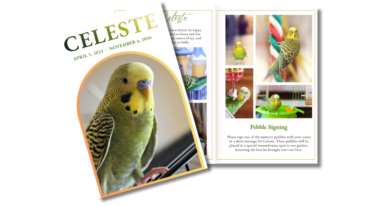 Front cover featuring a beloved green and yellow budgie paired with coordinated memorial interior pages designed in soft green and gold tones.