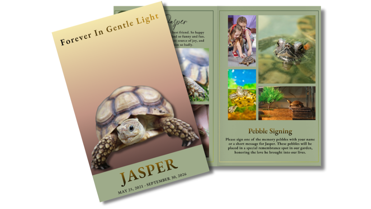 Front cover and interior pages showing a collage of reptile photos including a tortoise interacting with children and resting outdoors, arranged on a soft green background with clean borders.