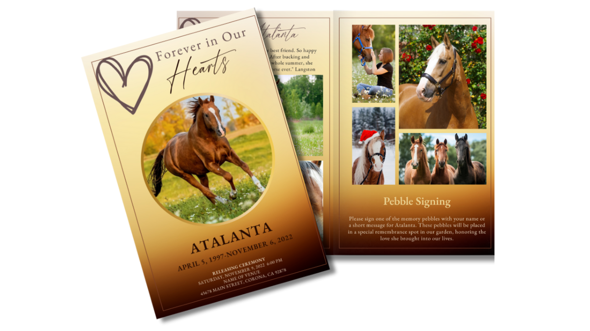 Two-page photo collage layout with soft golden tones and a hand-drawn heart, paired with the front cover featuring the circular horse photo, and “Forever in Our Hearts” heading.
