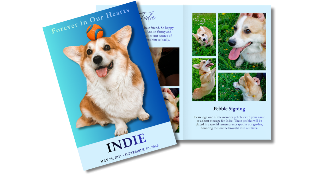 Front cover displayed beside open interior pages showing playful photos of a corgi arranged in collage layouts alongside tribute text and remembrance sections.