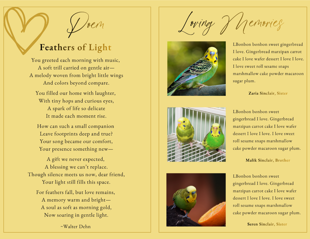 Poem page titled “Feathers of Light” with soft typography and a decorative heart accent, alongside Loving Memories pages with pet bird photos and written tributes from family members.