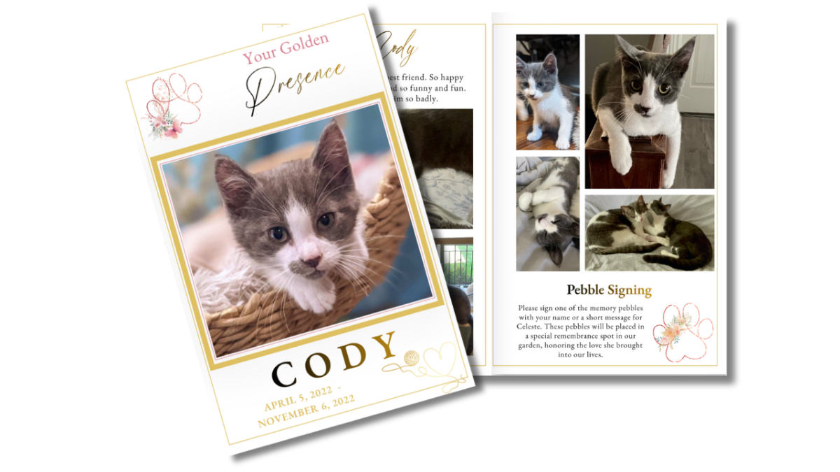 Front cover featuring a sweet kitten in a soft gold-accented frame alongside an open interior layout displaying photos and memories in a gentle, pet-focused design.