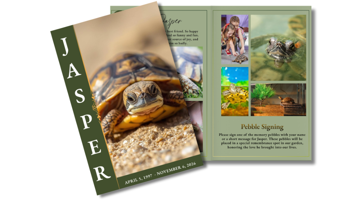 Front cover featuring a turtle on sandy ground alongside an open layout displaying reptile photos and family interaction moments in a soft green, nature-inspired design.