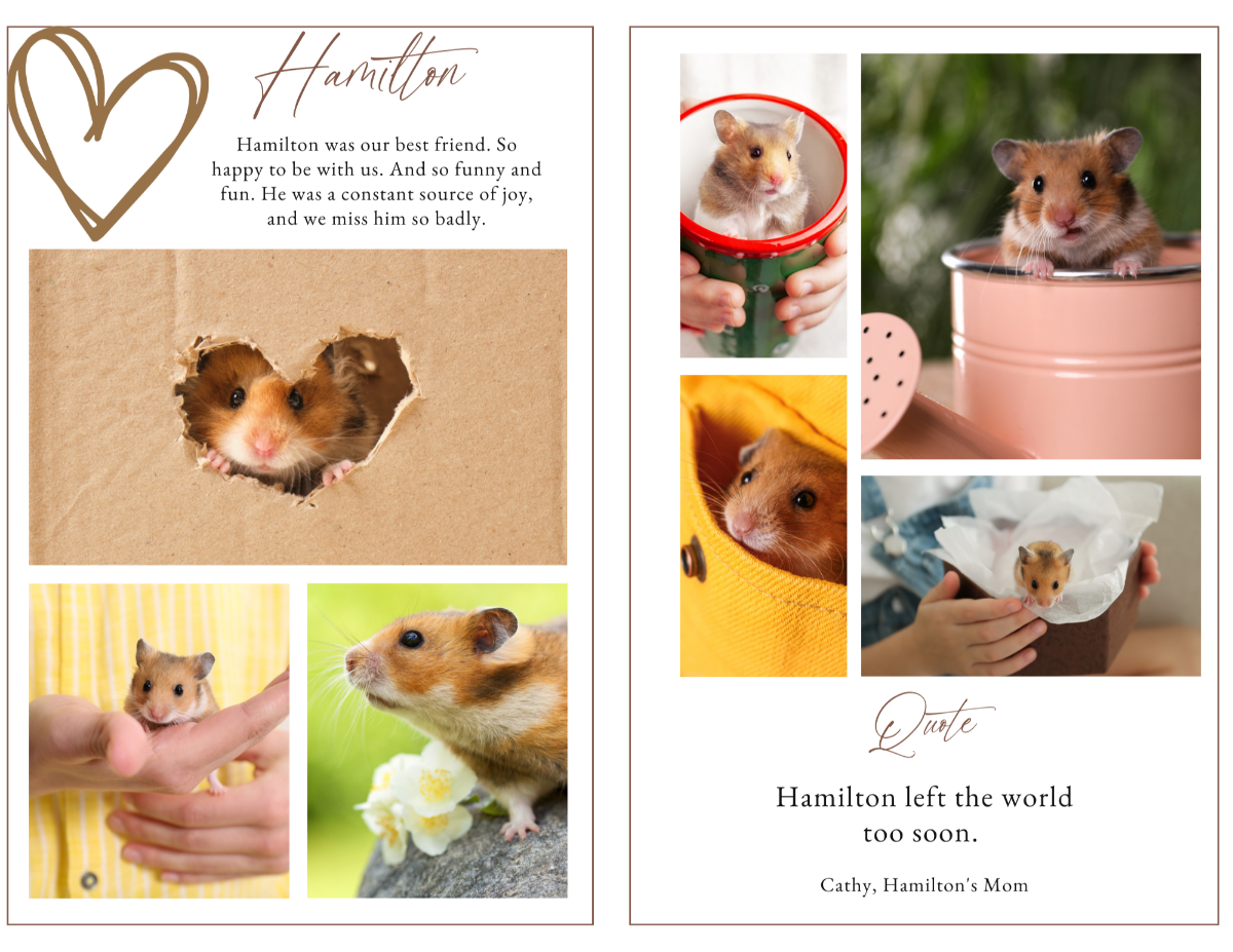 Photo collage page with multiple pet portraits — suitable for hamsters, rabbits, mice, or gerbils.