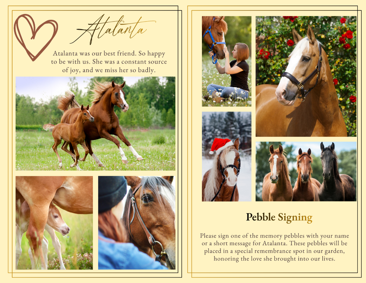 Photo collage pages displaying multiple horse and companion moments in a clean, organized layout.
