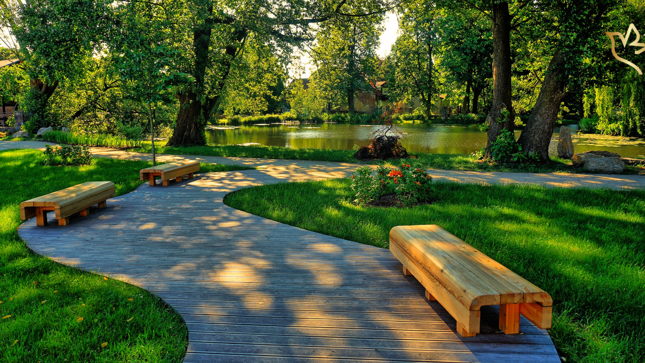 A peaceful walking path beside a quiet pond with wooden benches, symbolizing reflection, healing, and the familiar places that take on new meaning after the loss of a loved one.