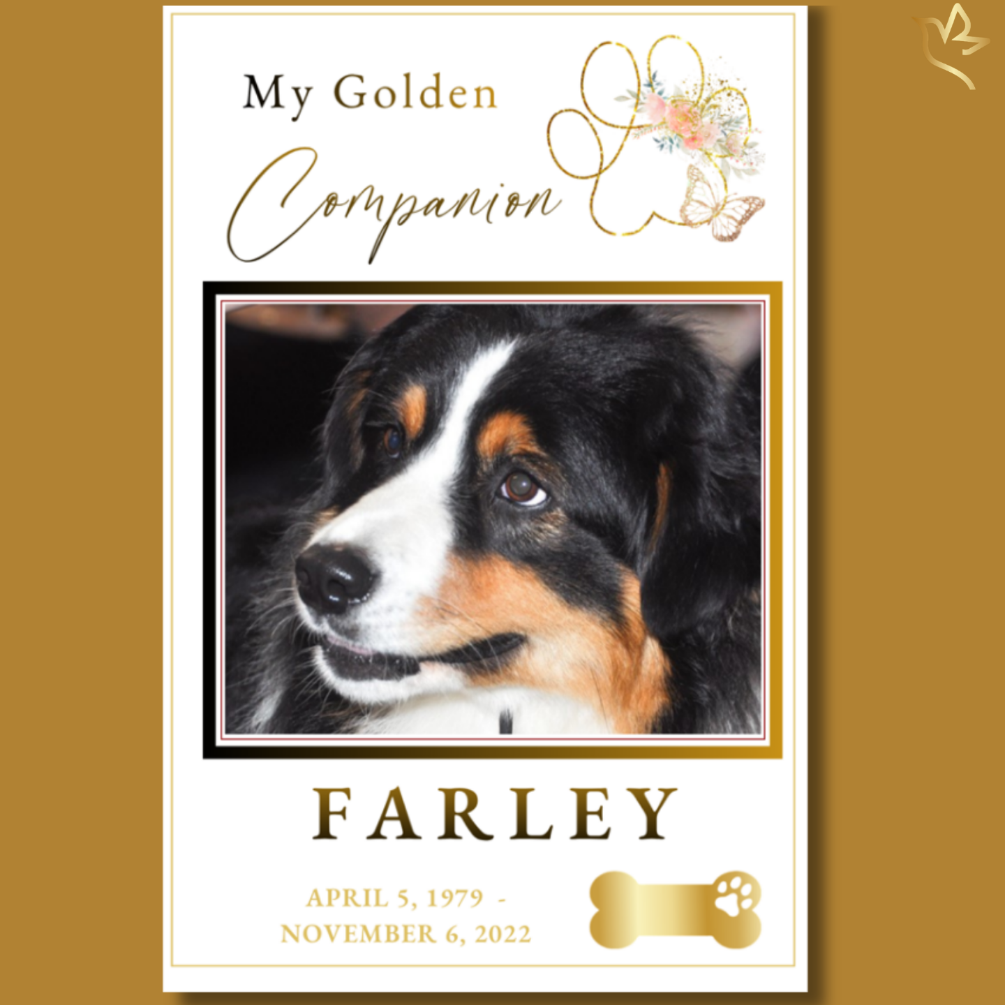 A beloved dog with gentle eyes and a soft expression, framed in a refined layout with warm gold accents, a delicate floral paw illustration, and elegant typography, creating a heartfelt pet memorial design.